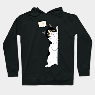 Peekaboo | Cat Lover Hoodie